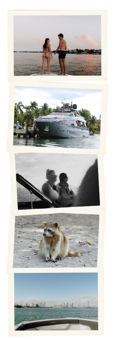 Collage: beach couple, yacht, mother and child, raccoon, skyline from boat.