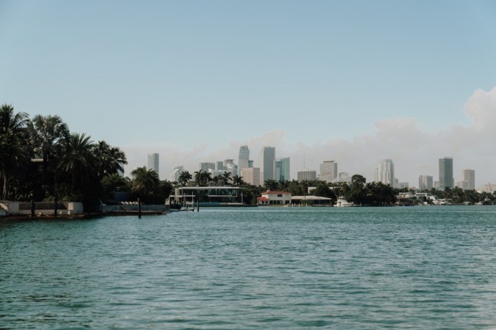 City skyline with palm trees by a waterfront under a clear sky.